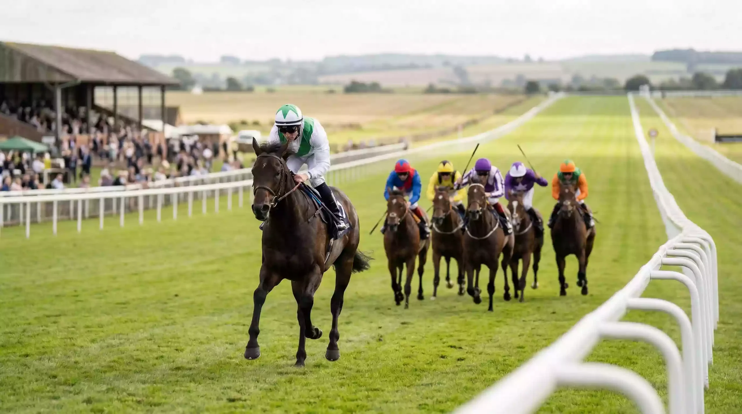 Front-runner leading the field into Windsor's five-furlong home straight during flat racing