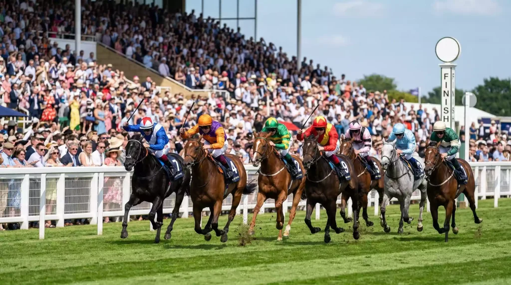 Field of runners approaching the finish in the Royal Windsor Stakes Listed race on a summer afternoon